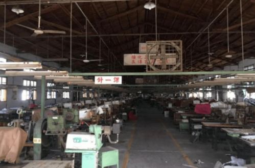 莆田老牌鞋廠3300萬(wàn)被拍賣，三條成型線背后折射產(chǎn)業(yè)轉(zhuǎn)型之痛